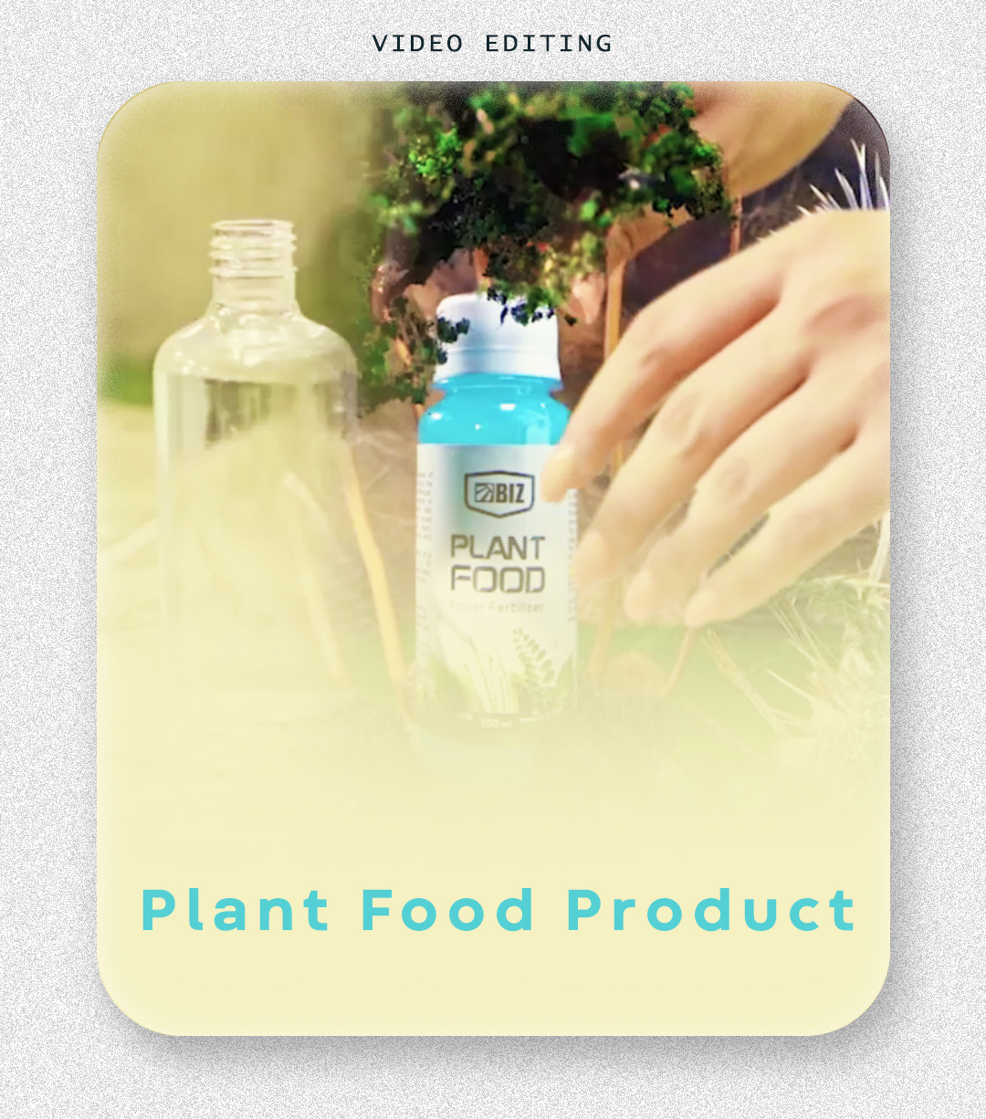 Plant Food Product